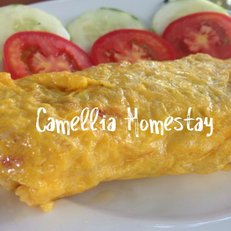 Camellia Homestay Hội An Kültér fotó